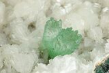 Gemmy Apophyllite Crystals with Stilbite - India #243898-3